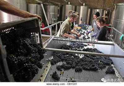 葡萄酒的價(jià)格差距為什么那么大?