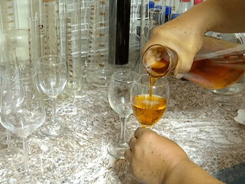 新站林場茂興營林股 發(fā)展林下經(jīng)濟 走生態(tài)致富路