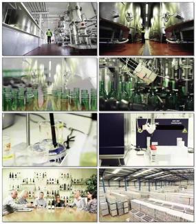 酒加工視頻素材下載, 酒加工AE模板下載